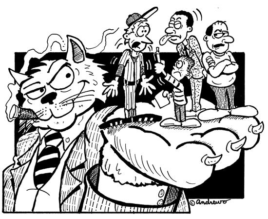 Fat Cat Sports Owners