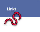 Links icon